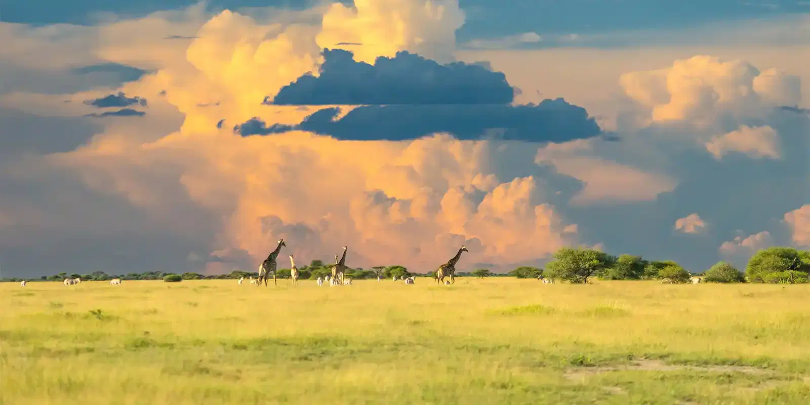 Botswana-Mozambique